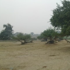 Jai Jai Shri Vrindavan Dhaam
