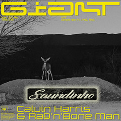 Calvin Harris Feat Rag 'n' Bone Man - Giant (Saundinho Remix)