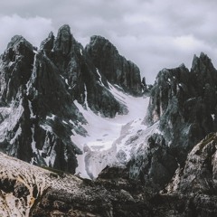 Andy Leech // Black Orchid