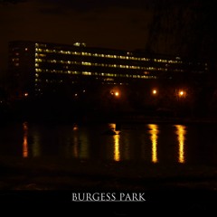 Bucky - Burgess Park