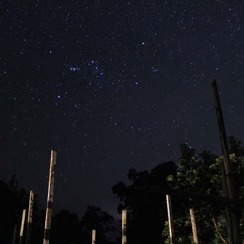 Borneo | Kampung Semadang jungle overnight