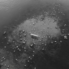 Zubi, anatu - figure it out