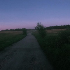 Witer Goh (Ft. Spittinheart) - Shir0 & Saint Icewatch