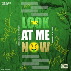 TMZ - Look At Me Now (S3RGIO $FLOW, Xtrizzay, Wondereezy & G2VN$)