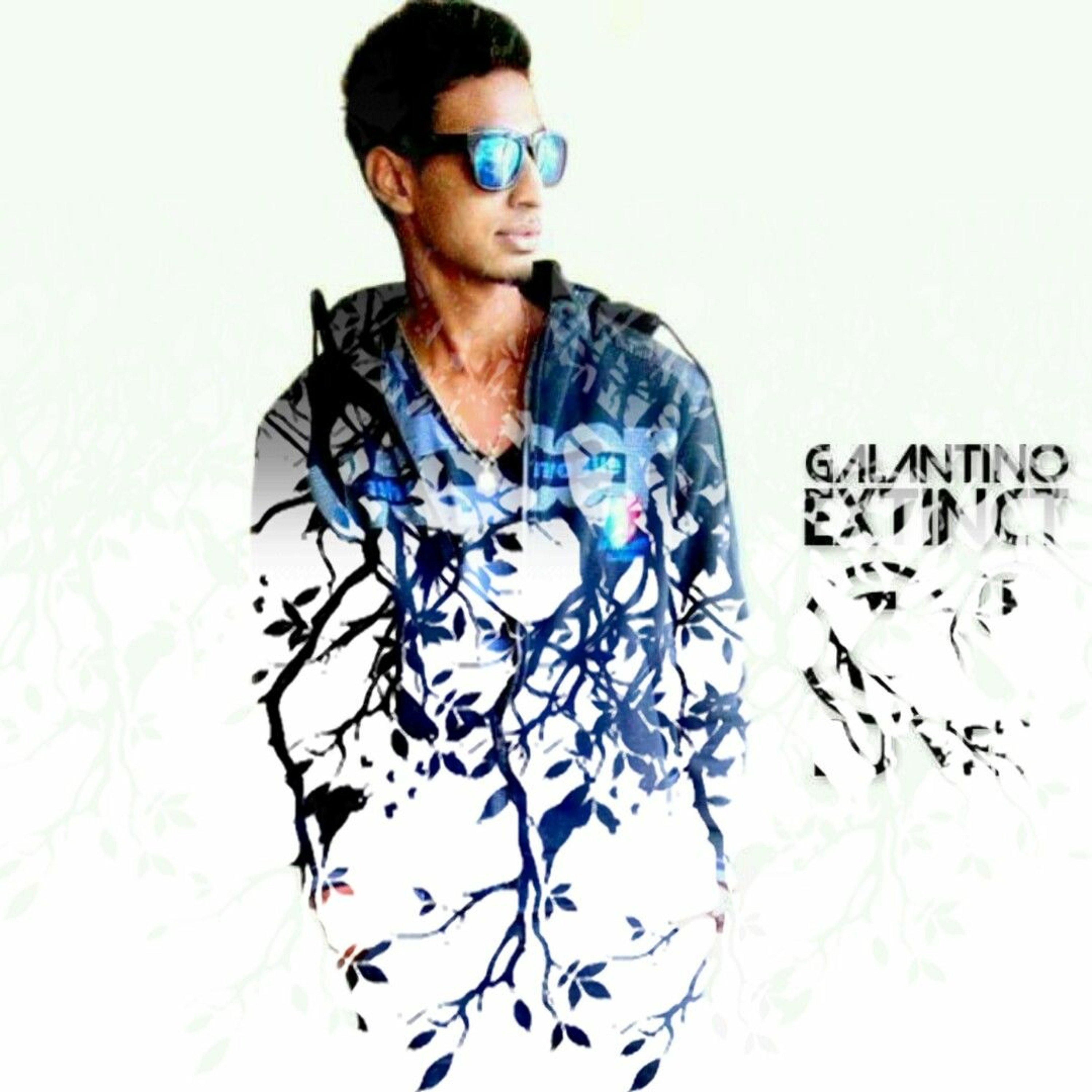 Ved Etwar