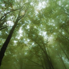 La Couleur De Mes Songes