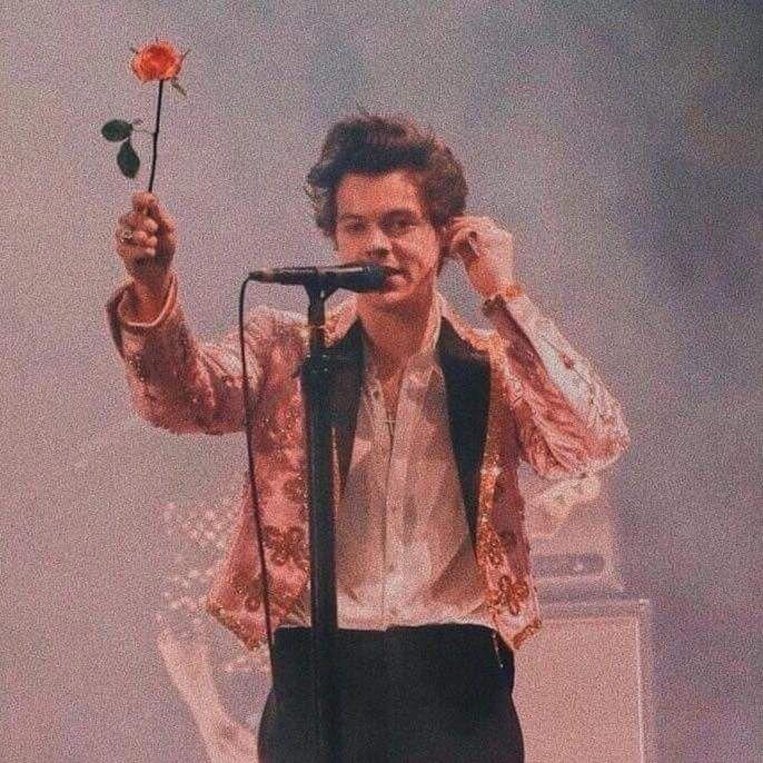 fuck you mark #harrystyles | you never saw my birthmark | TikTok