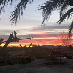 Les llaneres del puo