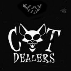 SET SUMMER #2020 (VINTAGE CULTURE X CAT DEALERS)