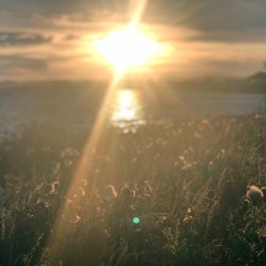 Have You Ever Seen The Rain - 1 26 20, 3.10 PM