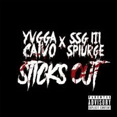 YVGGA Calvo X SSG Splurge - Sticks Out -