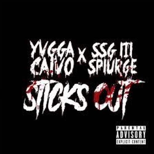 YVGGA Calvo X SSG Splurge - Sticks Out -