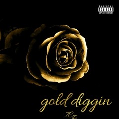 Gold Diggin'