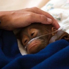 Out There (Prod. SimonXG Beats)