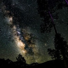 Are You Sure Now? X WTF(Subtronics Remix) - Marcs Mashup