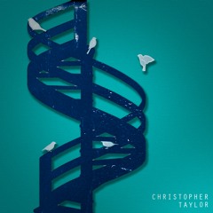 Counting Bluebirds By Christopher Taylor
