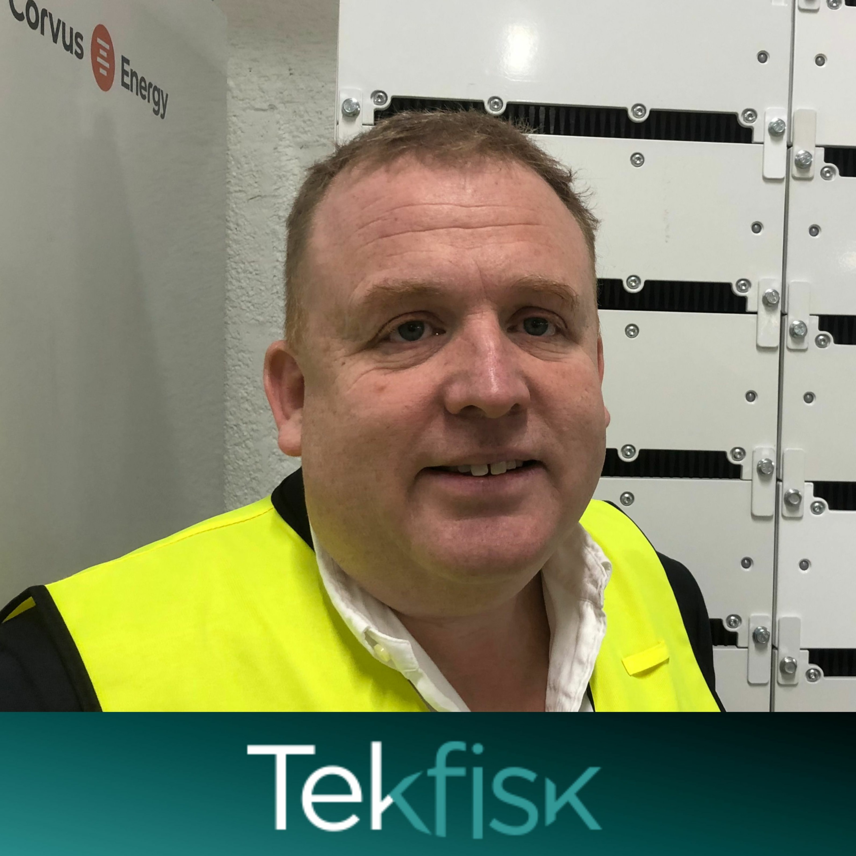 Tekfisk
