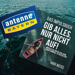 Impulsbuch: GIB ALLES, NUR NICHT AUF * ANDI WEISS (Antenne Bayern)