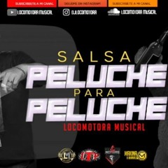 LOCOMOTORA MUSICAL - SALSA PELUCHE Para PELUCHE 01 06 20