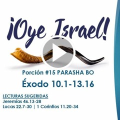 OYE ISRAEL #15 PARASHA BO