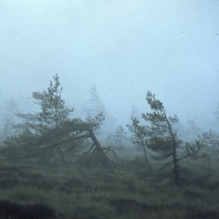 Sunday Evening With One Sock On, One Sock Off