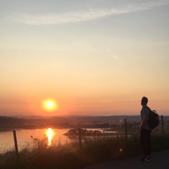 Å, den som var en løvetann - Alf Prøysen cover