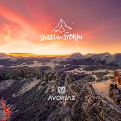 SNEEUWSTORM