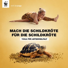 WWF - Yoga - Fuer - Artenvielfalt - Soundscape - 1-Wiese