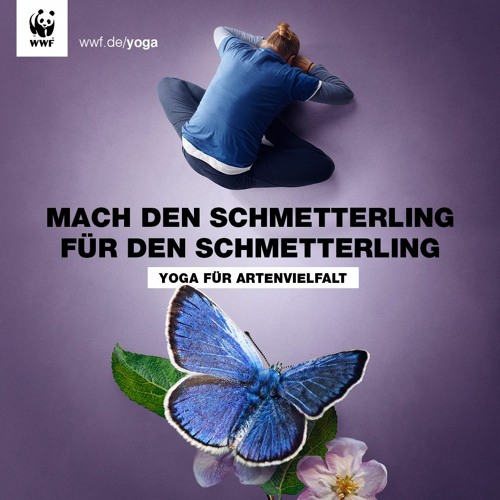 WWF - Yoga - Fuer - Artenvielfalt - Soundscape - 3-Felsen
