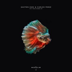 Gaston Zani, Carlos Perez - Put Your Hands Up (Original Mix)