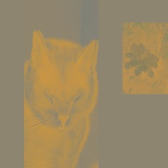 Making New Friends & Radiating Rays