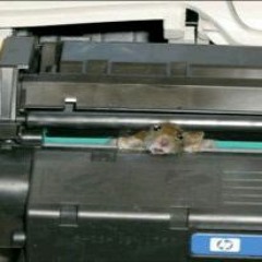 printer_jam.exe (sample exploration)