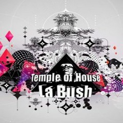 La Bush in a nutshell 18