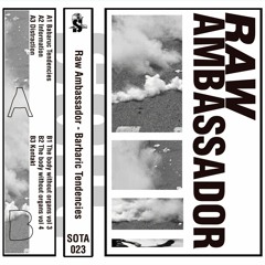 TL Premiere : Raw Ambassador - Information [Soil Records]