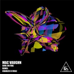 Mac Vaugh - Soul On Fire (Original Mix)