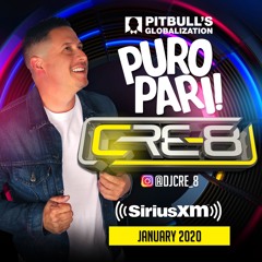 Puro Pari! January 2020 Guest Mix-Pitbull's Globalization