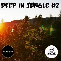 Deep In Jungle #2 ( JUNGLE MIX )Sub FM 25th Jan 2020