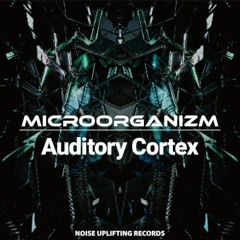 Auditory Cortex & MicRooRganizm - Future Mango