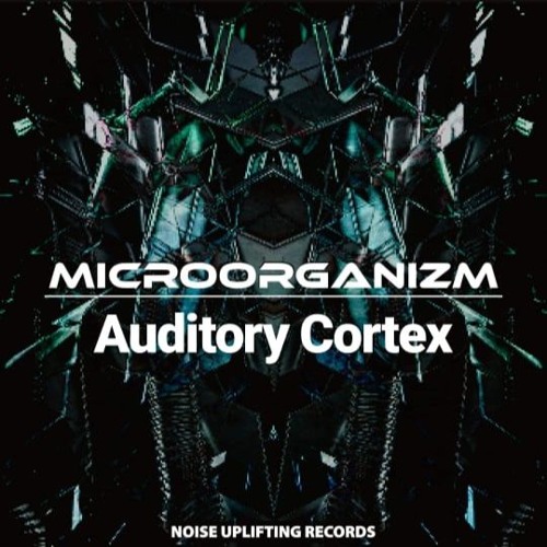 Auditory Cortex & MicRooRganizm - Future Mango