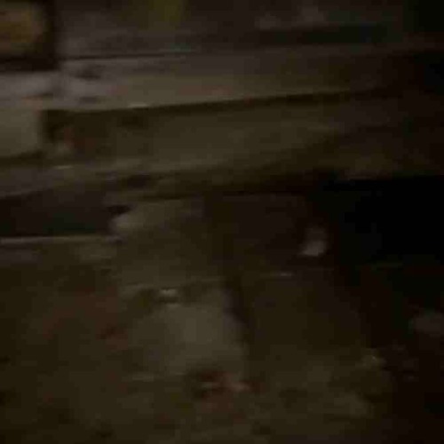 burn marks on her skin