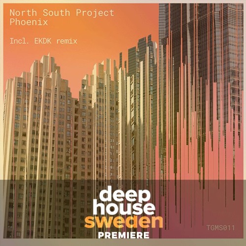 DHS Premiere: North South Project - Phoenix (Original Mix)