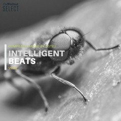 Intelligent beats '20.02 (selection preview)