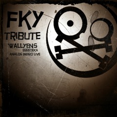 FKY Tribute by WallyenS Erredeka / analog impro live