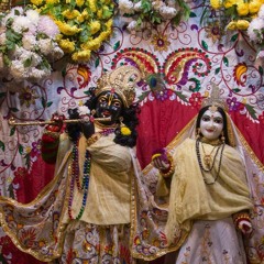Sharad Purnima 19.1.20 NS 24hr Vrindavan Kirtan Mandali