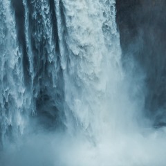 Whithe // Pavia