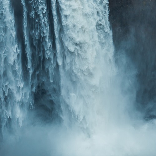 Whithe // Pavia