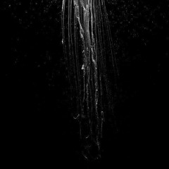 N208 PEAU LISSE 2 2K20 BY ZAZOOCORE