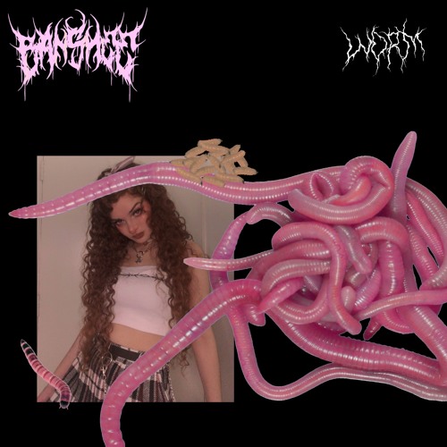 WORM
