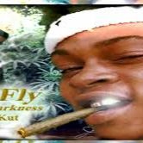 Stream Lil Fly Part 1 by Roccin John Ross | Listen online for free