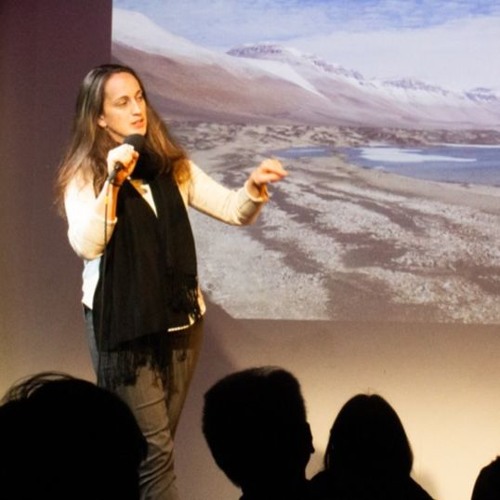 SciFri Extra: Revisiting Unique Science Stories of 2019